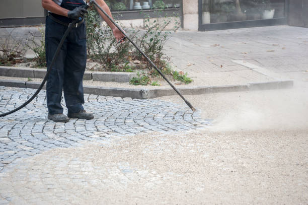 Best Pre-Holiday Cleaning  in Schofield, WI
